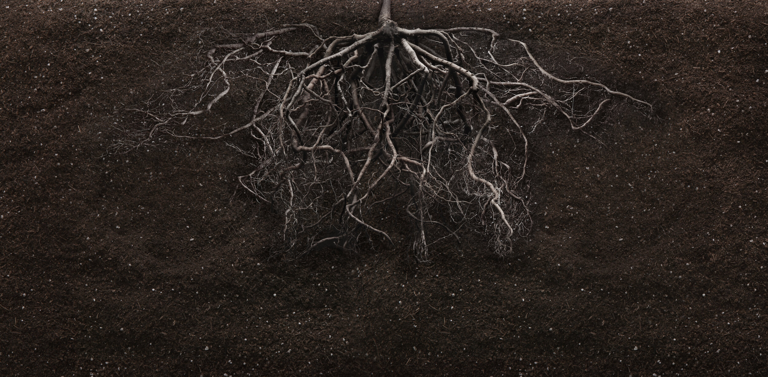 iStock-178771341 copy.jpg